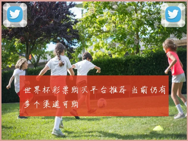 世界杯彩票购买平台推荐 当前仍有多个渠道可购