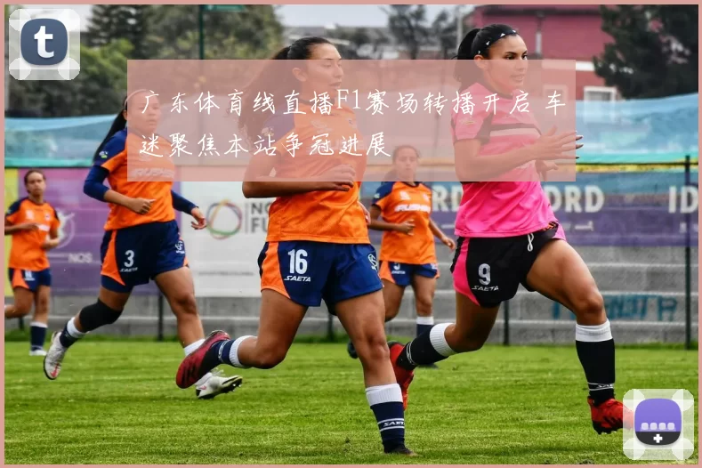 广东体育线直播F1赛场转播开启 车迷聚焦本站争冠进展