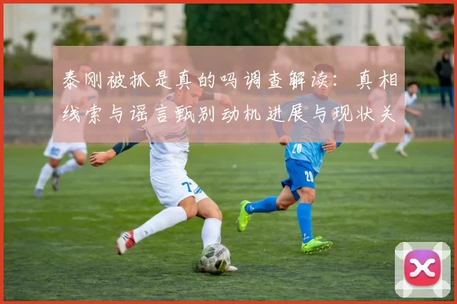 泰刚被抓是真的吗调查解读:真相线索与谣言甄别动机进展与现状关系