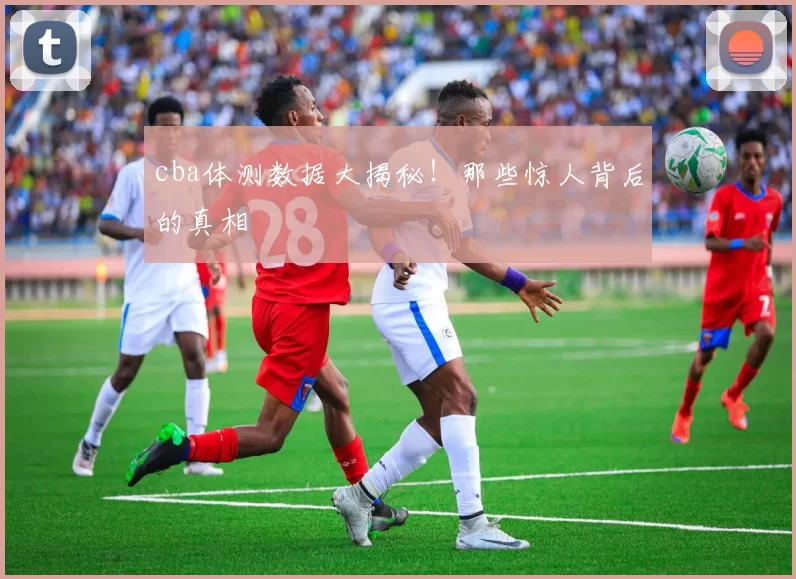 cba体测数据大揭秘!那些惊人背后的真相